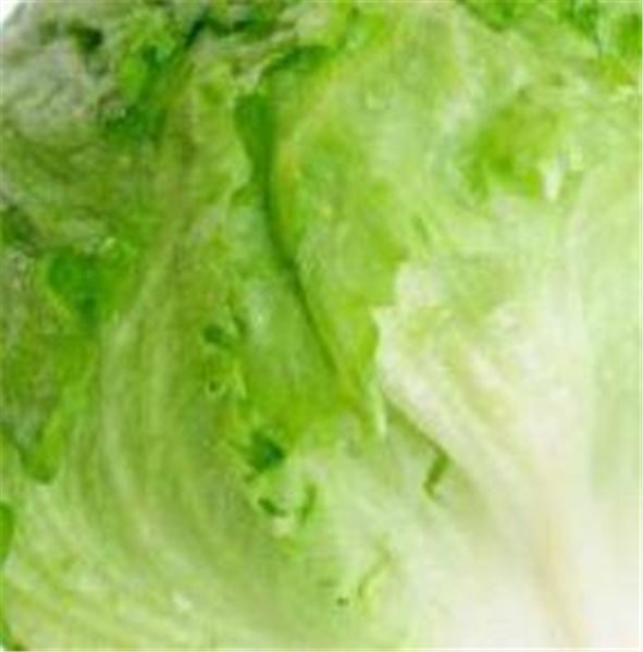 EISBERG GESCHNITTEN.-lateral