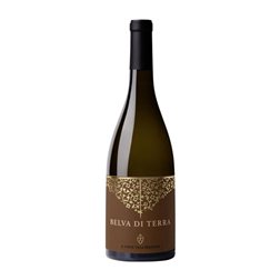 Il Conte Villa Prandone Belva di Terra Sauvignon Seco Marche 75 cl Vino Blanco