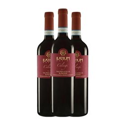 Ilatium Morini Campo dei Ciliegi Valpolicella Ripasso Superiore — Superior 75 cl Vino Tinto (Caja de 3 unidades)
