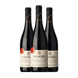 Illuminati Ilico Montepulciano Montepulciano d'Abruzzo 75 cl Vino Tinto (Caja de 3 unidades)