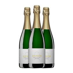 Ilunum Seco Vino de la Tierra de Castilla 75 cl Vegano Espumoso Blanco (Caja de 3 unidades)