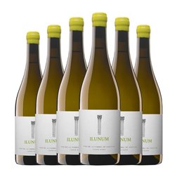 Ilunum Seco Vino de la Tierra de Castilla 75 cl Vino Blanco (Caja de 6 unidades)