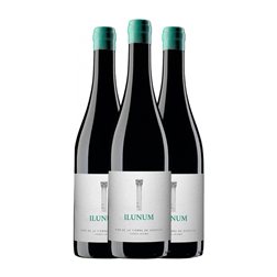 Ilunum Syrah Seco Vino de la Tierra de Castilla 75 cl Vegano Vino Tinto (Caja de 3 unidades)