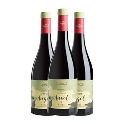 Ilurce Ángel Garnacha Seco Rioja 75 cl Vino Tinto (Caja de 3 unidades)