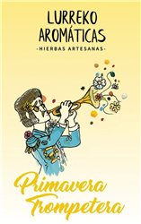 INFUSION BIO PRINTEMPS 30g Allergies et Bien-être Respiratoire