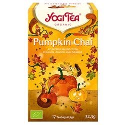 Infusion Bio Pumpkin Chai 32,3g (17tb)