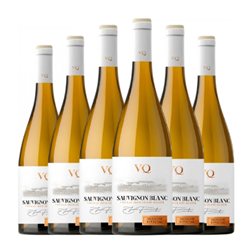 J. Fernando Venta de Don Quijote Sauvignon Vino de la Tierra de Castilla 75 cl Vino Blanco (Caja de 6 unidades)