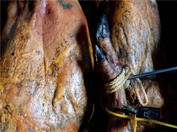 JAMBON DE BELLOTA 100% IBÉRIQUE A.O.P. DEHESA DE EXTREMADURA-detalle