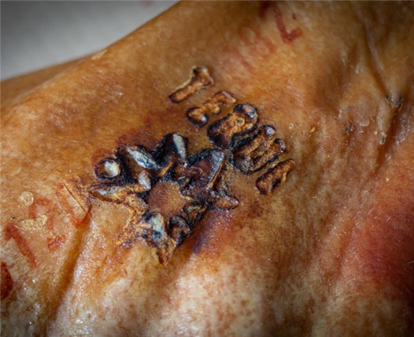 Jamón de Teruel Raíces DOP-izquierda