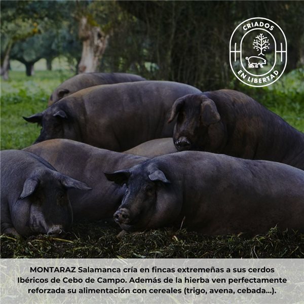 Iberian ham 50% Iberian breed of free-range pasture-fed | 24 months curing | Whole piece of 7.5-8.5 kg | Gourmet quality | Without additives or preservatives-izquierda
