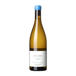 Jérôme Bretaudeau Gabbro Gamay Muscadet-Sèvre et Maine 75 cl Vino Blanco