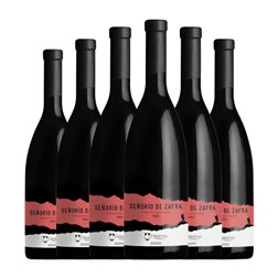 Jesús Figueroa Señorío de Zafra Cabernet Sauvignon Seco Vinos de Madrid Roble 75 cl Vino Tinto (Caja de 6 unidades)