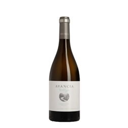Jorge Ordóñez Avancia Nobleza Godello 2023

Jorge Ordóñez Avancia Nobleza Godello 2023
