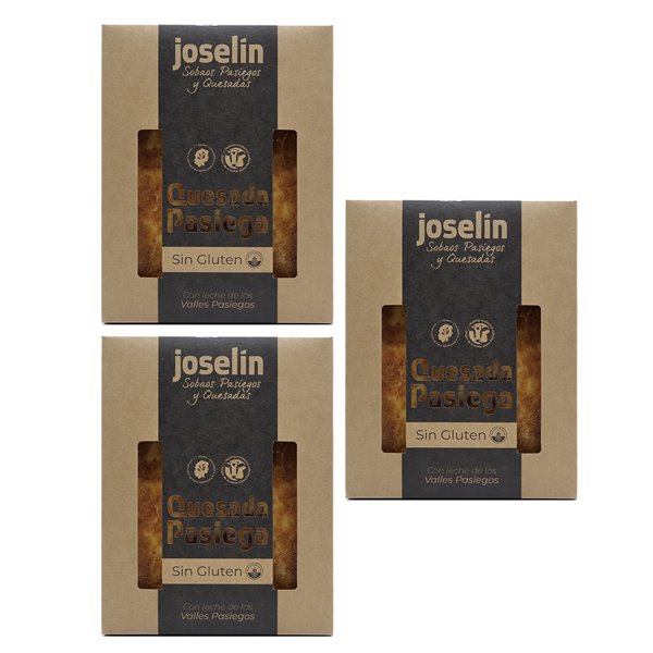 Joselín Quesada Mediana Pasiega SIN GLUTEN, Envasada al Vacío en Bandeja de Aluminio 500 gr-lateral