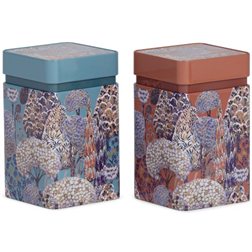 Juago de 2 boîtes Patagonia