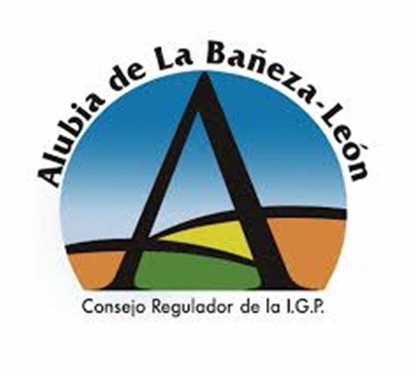 White ironed bean-lateral