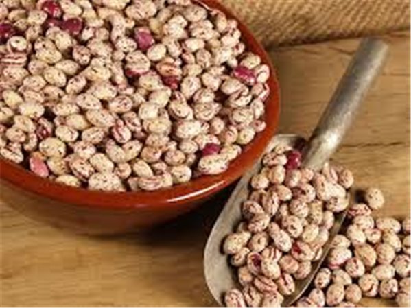 Extra Painted Bean-detalle