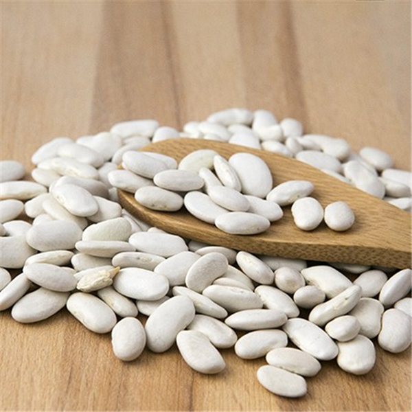 Bohne Plancheta de León 1kg-detalle