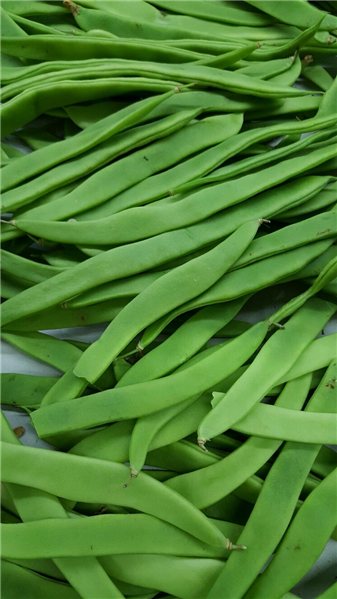 GREEN BEANS 500g-detalle