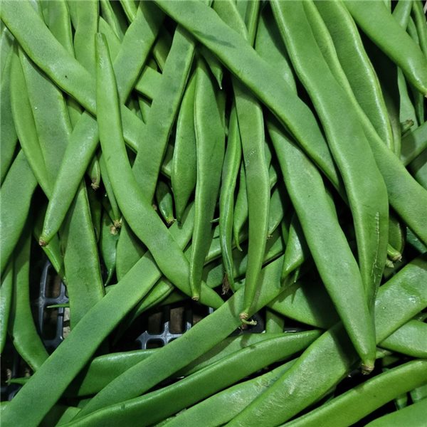 Judías verdes plana-detalle
