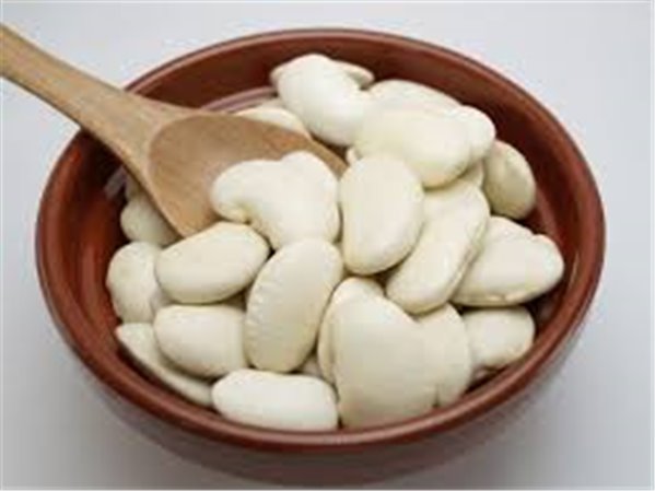 Judión de La GranjaJudión from La Granja-detalle