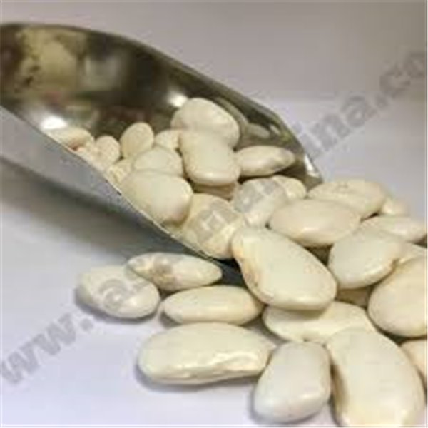 Judión de La GranjaJudión from La Granja-lateral