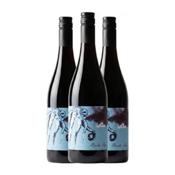 Judith Beck Ink Burgenland 75 cl Vino Tinto (Caja de 3 unidades)