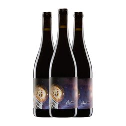 Judith Beck Out 75 cl Vino Tinto (Caja de 3 unidades)