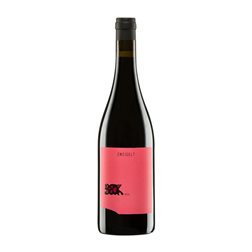 Judith Beck Zweigelt Eco — Ecológico 75 cl Vino Tinto