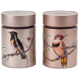 Juego de 2 latas pájaros