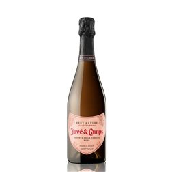 Juve & Camps Reserva de la Familia Rosé 2022