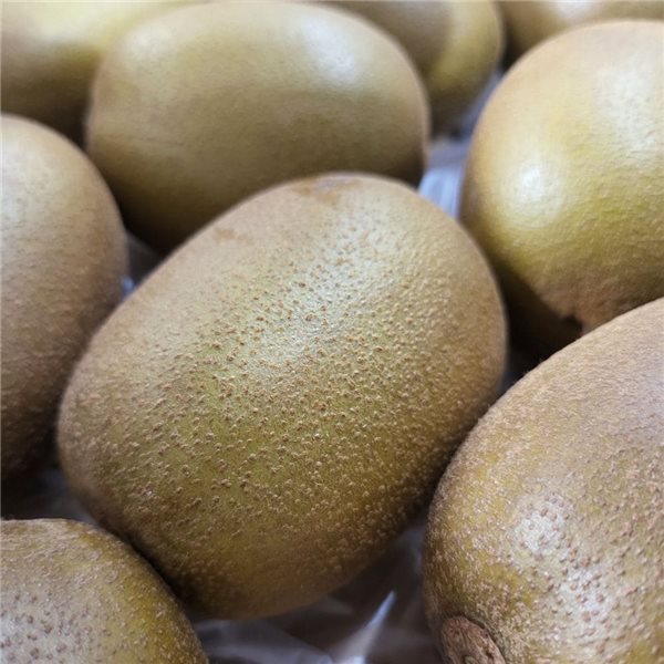 Kiwi Amarillo-detalle