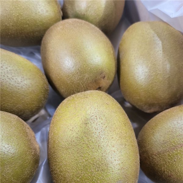 Kiwi Amarillo-izquierda