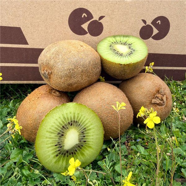 Galician Kiwi-izquierda
