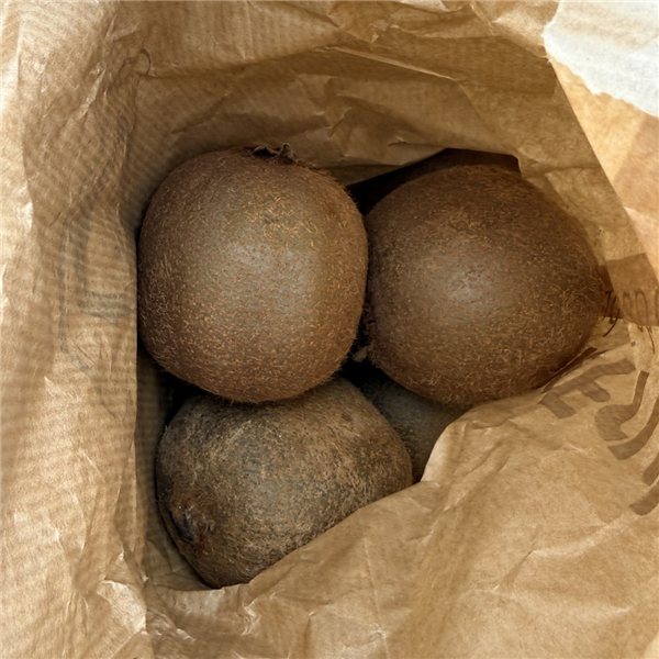 Galician Kiwi-trasera