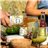 Organic San Blas Kombucha | 12-pack x 250 ml-detalle