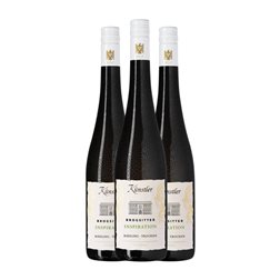 Künstler Brogsitter Hochheimer Reichestal Inspiration Riesling Trocken — Seco Rheingau 75 cl Vino Blanco (Caja de 3 unidades)