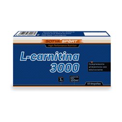 L-CARNITIN 10 AMP. PLASTIK 3000 MG 10 STK.