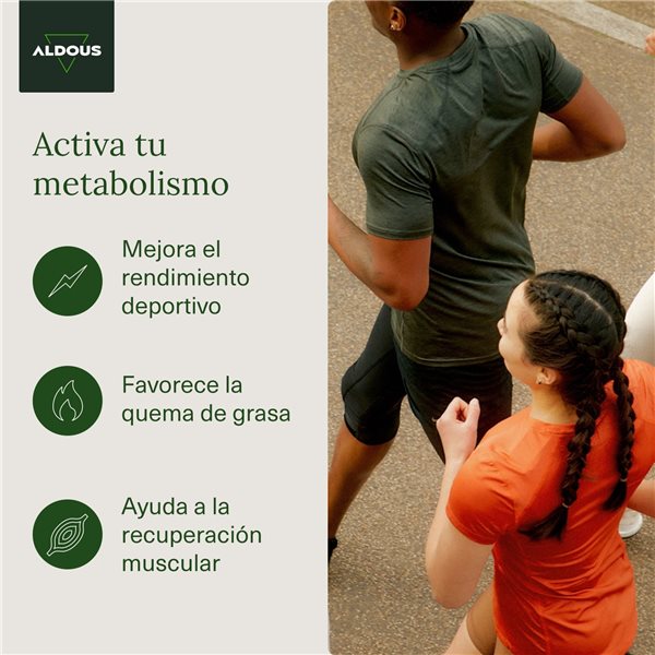 L Carnitina 2000mg  - Suplemento Pre Entreno y Recuperador Muscular - 200 Comprimidos-trasera