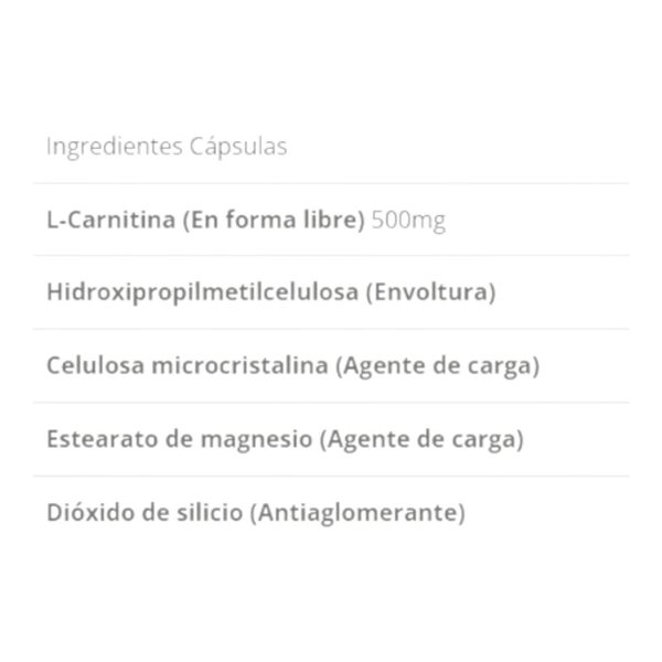 Sport Live L-Carnitine 90 Caps-detalle
