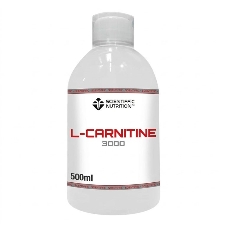 L-Carnitine 3000 500 Ml of FitnessZone