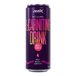 L-Carnitin-Getränk 250 ml