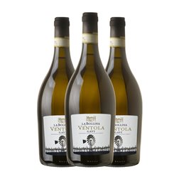 La Bollina Ventola Cortese Cortese di Gavi 75 cl Vino Blanco (Caja de 3 unidades)