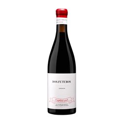 La Cantera de Santa Ana Dos Futuros Pámpanos Garnacha Seco Navarra 75 cl Vino Tinto