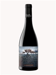 The Lost Garnacha of the Pyrenees