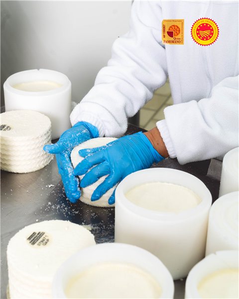 Labadia 10 Zamorano DOP fromage affiné en quartiers-izquierda