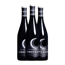 Ladrón de Lunas Utiel-Requena Roble Botella Magnum 1,5 L Vino Tinto (Caja de 3 unidades)