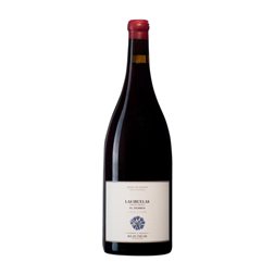 Landi Las Iruelas Vino de la Tierra de Castilla y León Botella Magnum 1,5 L Vino Tinto