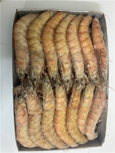 Langostino crudo salvaje congelado-detalle