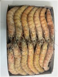 Langostino crudo salvaje congelado